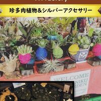 画像1519