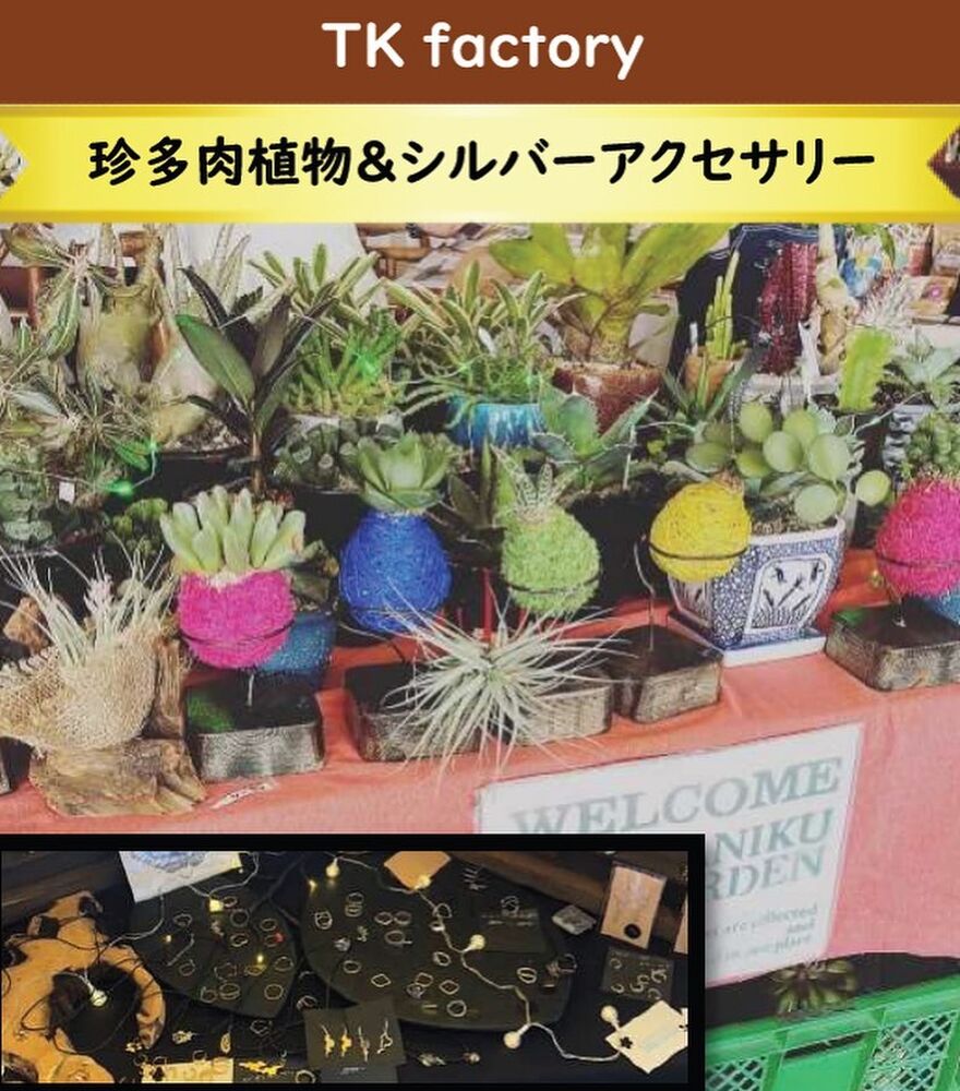 画像1519